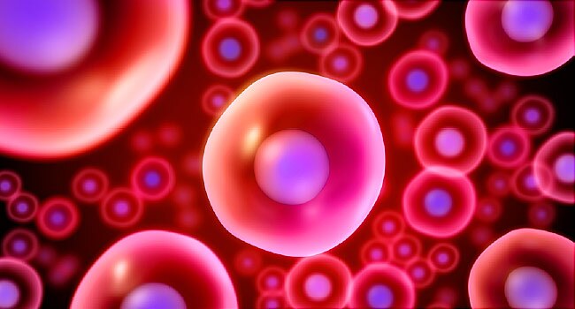 Stem Cell Transplant